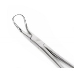 NR.253  SPINAKI BACKHAUSA 130mm